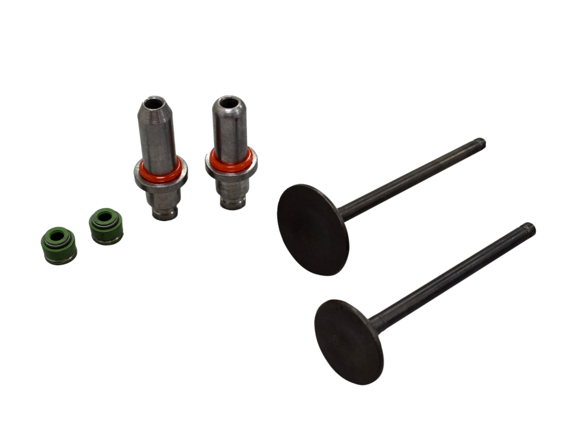 Kit De Valvulas Akt Sm 200