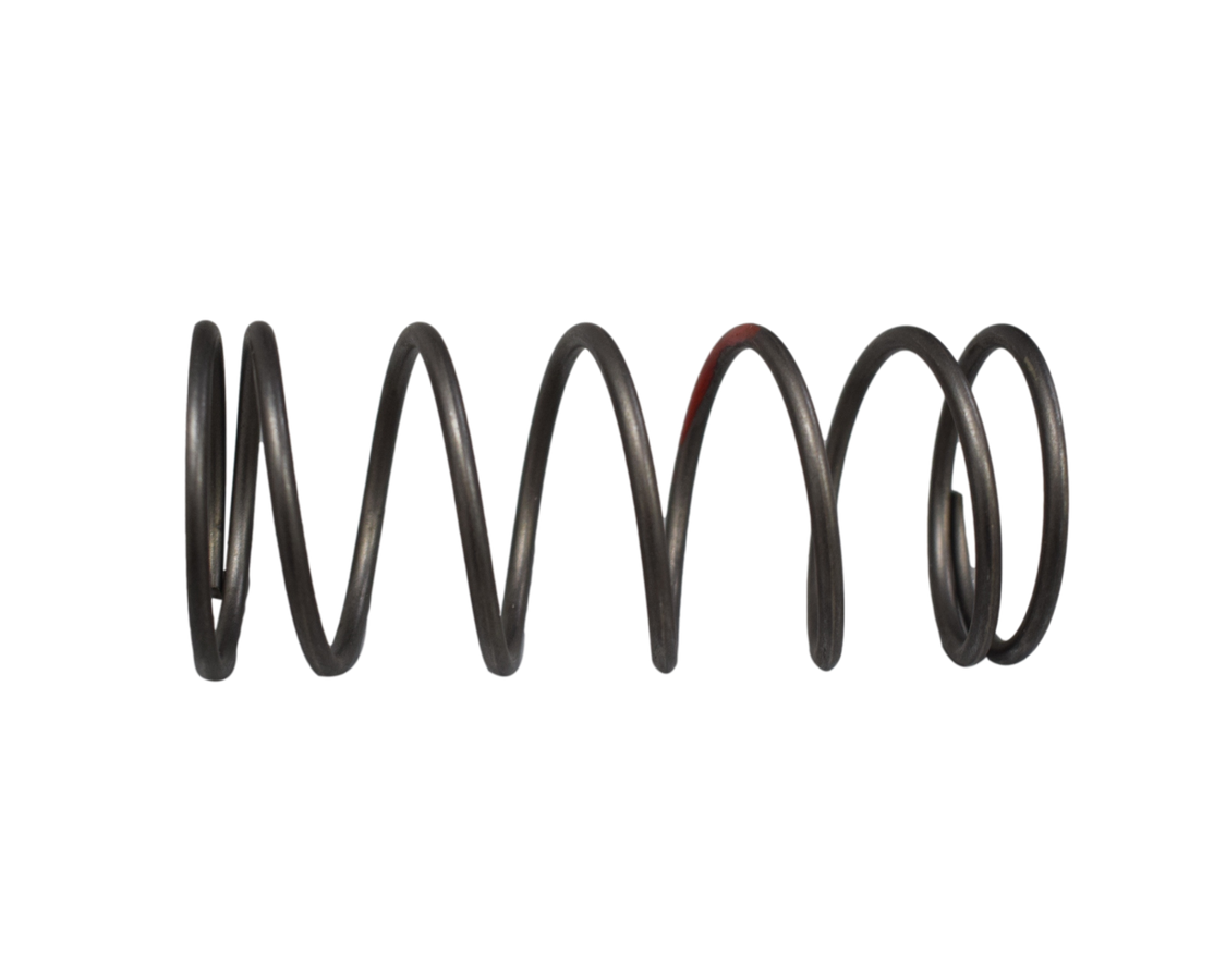 Resorte Centrifugo Dynamic Akt 125 Original