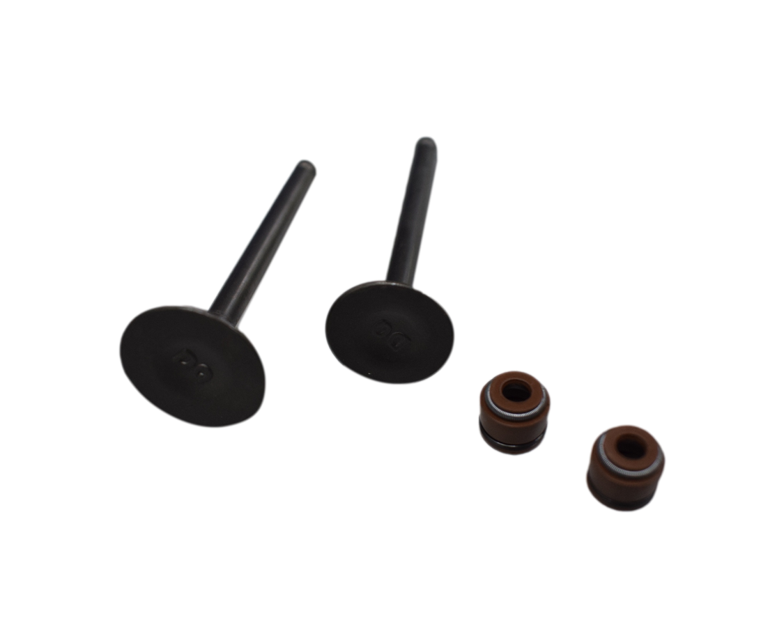 Kit De Valvulas Special Akt 110 Original