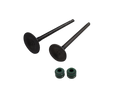 Kit De Valvulas Ttr 150 - Evo 150 R3/Ne Akt Original
