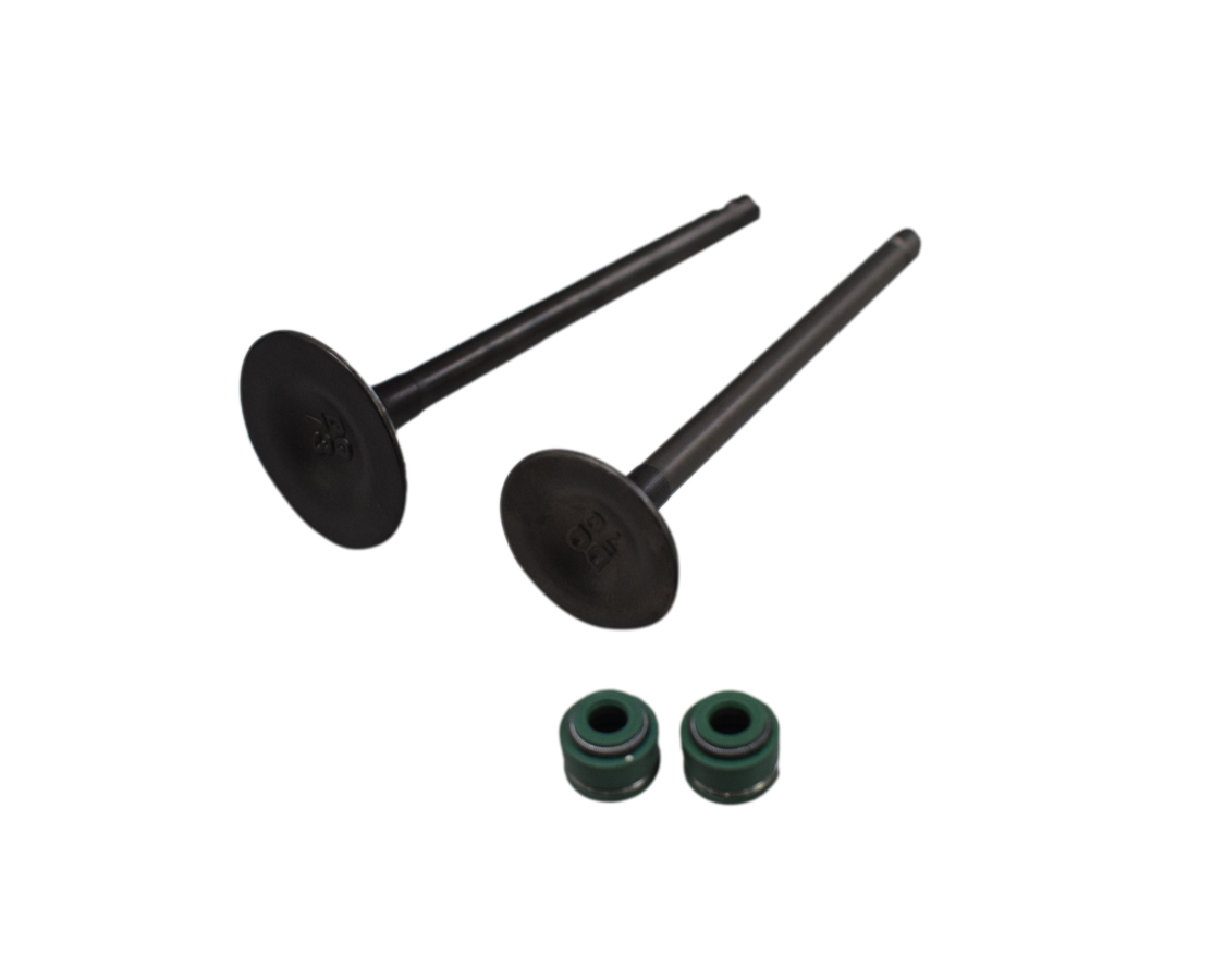 Kit De Valvulas Ttr 150 - Evo 150 R3/Ne Akt Original