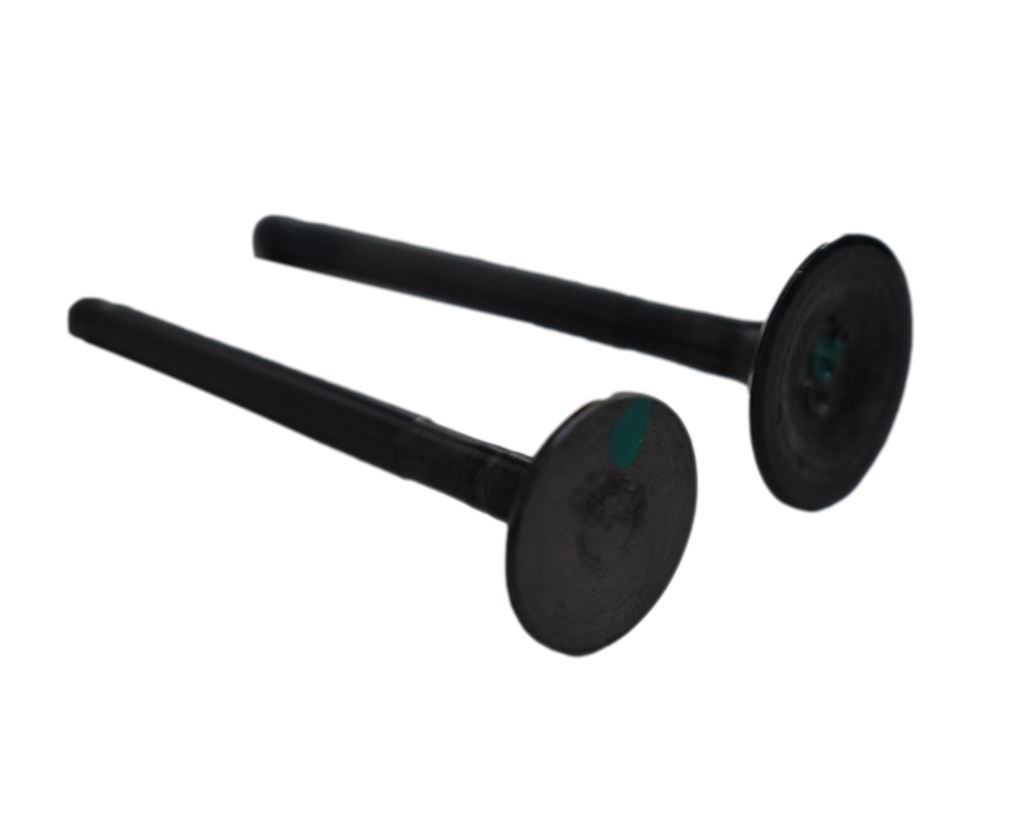 Kit De Valvulas Boxer 100 - Platino Bajaj 100 Original