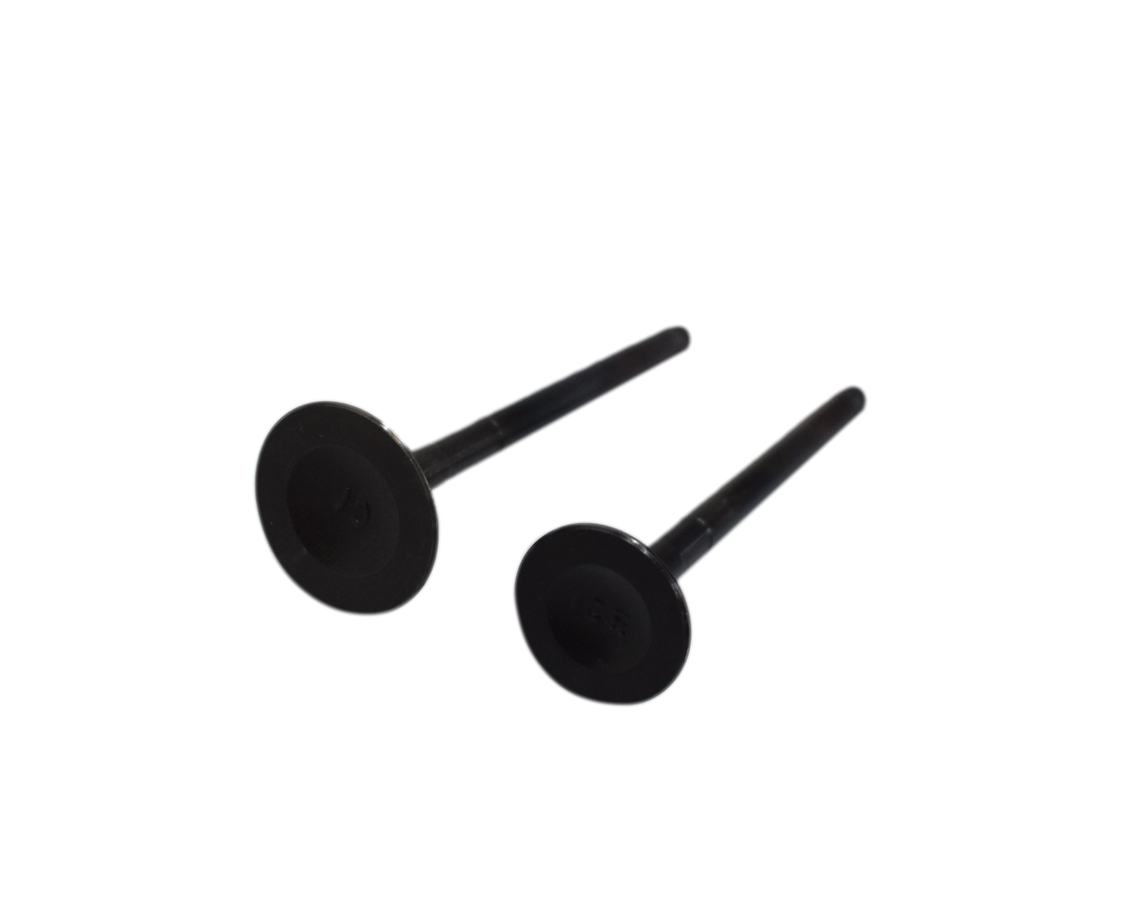 Kit De Valvulas Boxer Ct Es 102/Ks - Platino Bajaj y Más