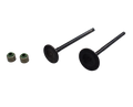 Kit De Valvulas Bajaj Xcd 125, Platino 125