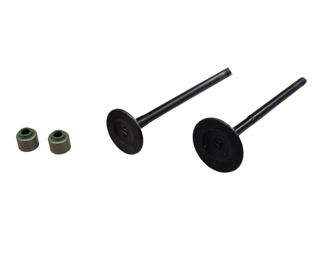 Kit De Valvulas Bajaj Xcd 125, Platino 125