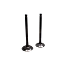 Kit De Valvulas Discover Ug 125 Bajaj Original