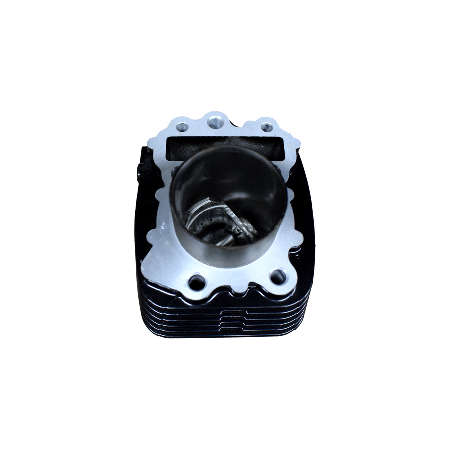 Cilindro Xcd 125 - Platino 125 (Cambios 5) Bajaj y Más