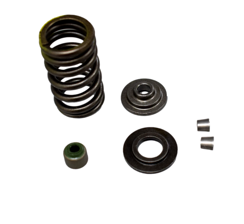 Kit Resorte Valvula Ns 200 Original Bajaj