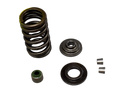 Kit Resorte Valvula Ns 200 Original Bajaj