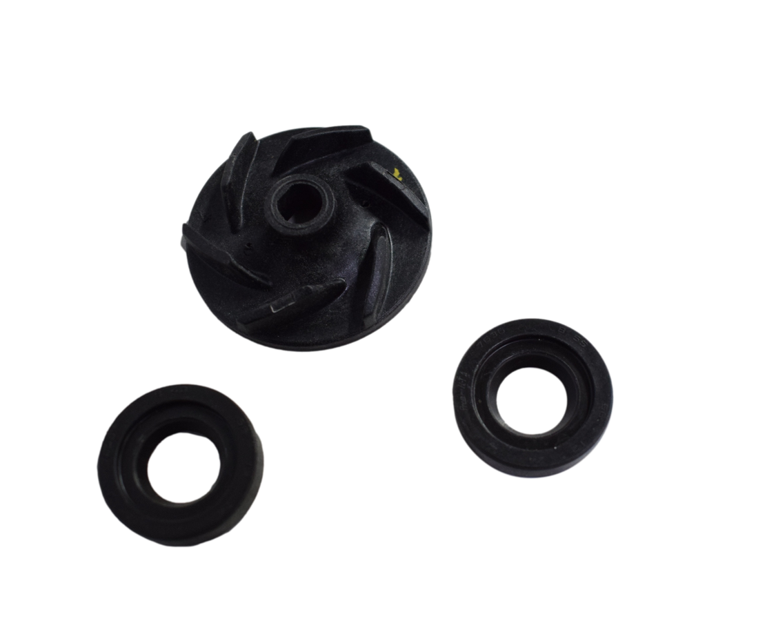 Kit Retenedor Bomba De Aua Pulsar Ns 200/As Bajaj Original