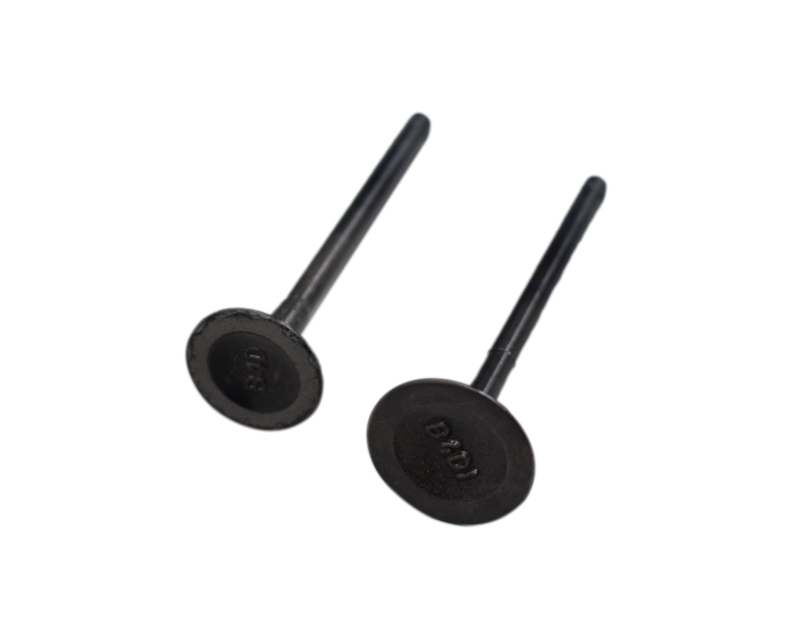 Kit De Valvulas Platino Bajaj 110 Original