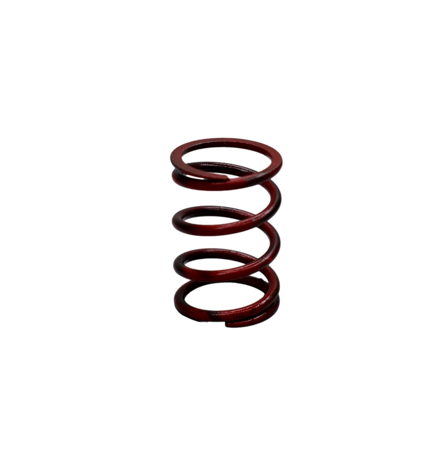 Resorte De Clutch Pulsar Bajaj 180 Original