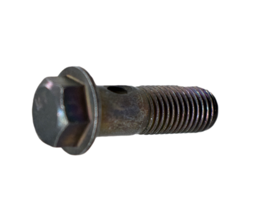 Tornillo De Aceite 10Xpulsar 25 Bajaj 200 Original