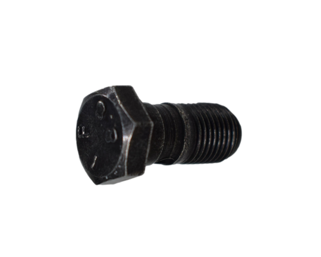 Tornillo De Aceite 10Xpulsar 18 Ns 200/Bajaj 220 Original