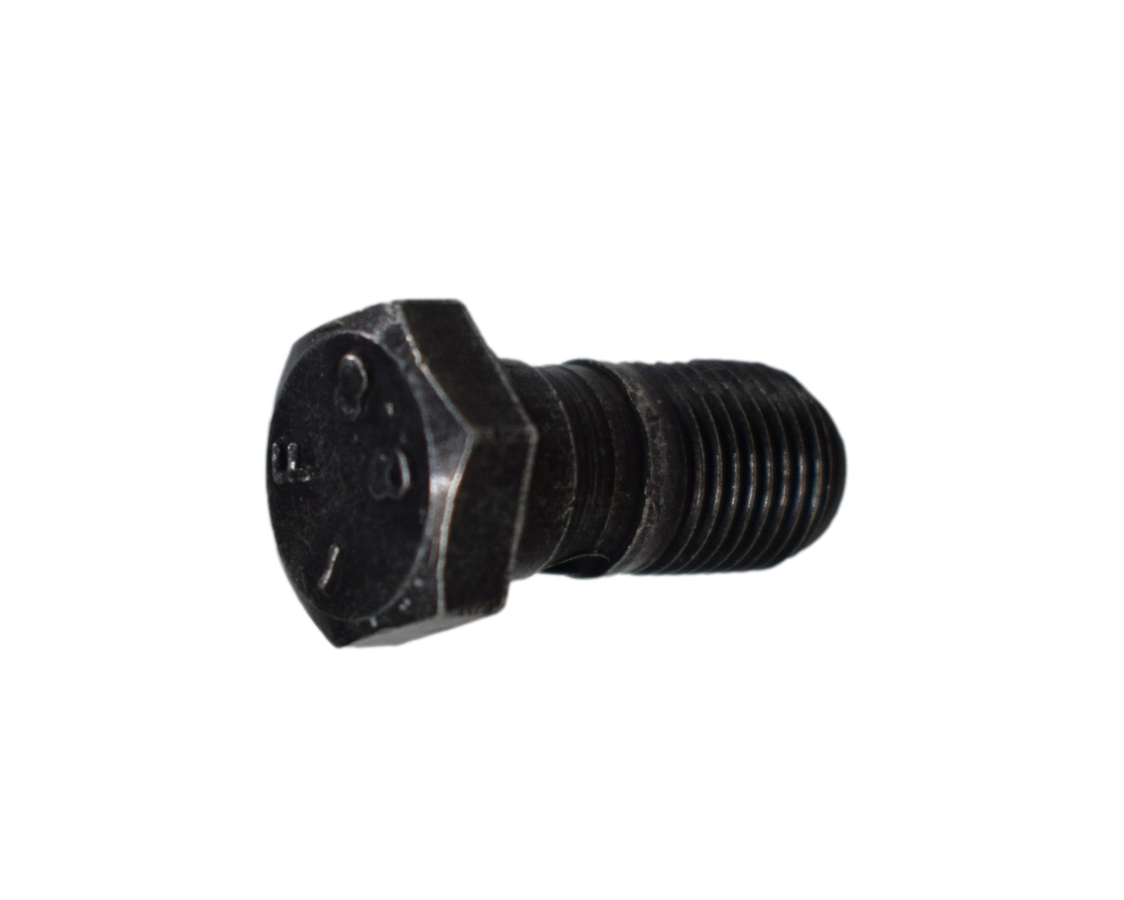 Tornillo De Aceite 10Xpulsar 18 Ns 200/Bajaj 220 Original