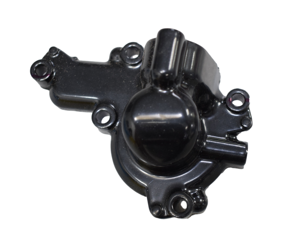 Tapa Bomba De Agua Pulsar Ns 200 Original – Repuestos Bajaj