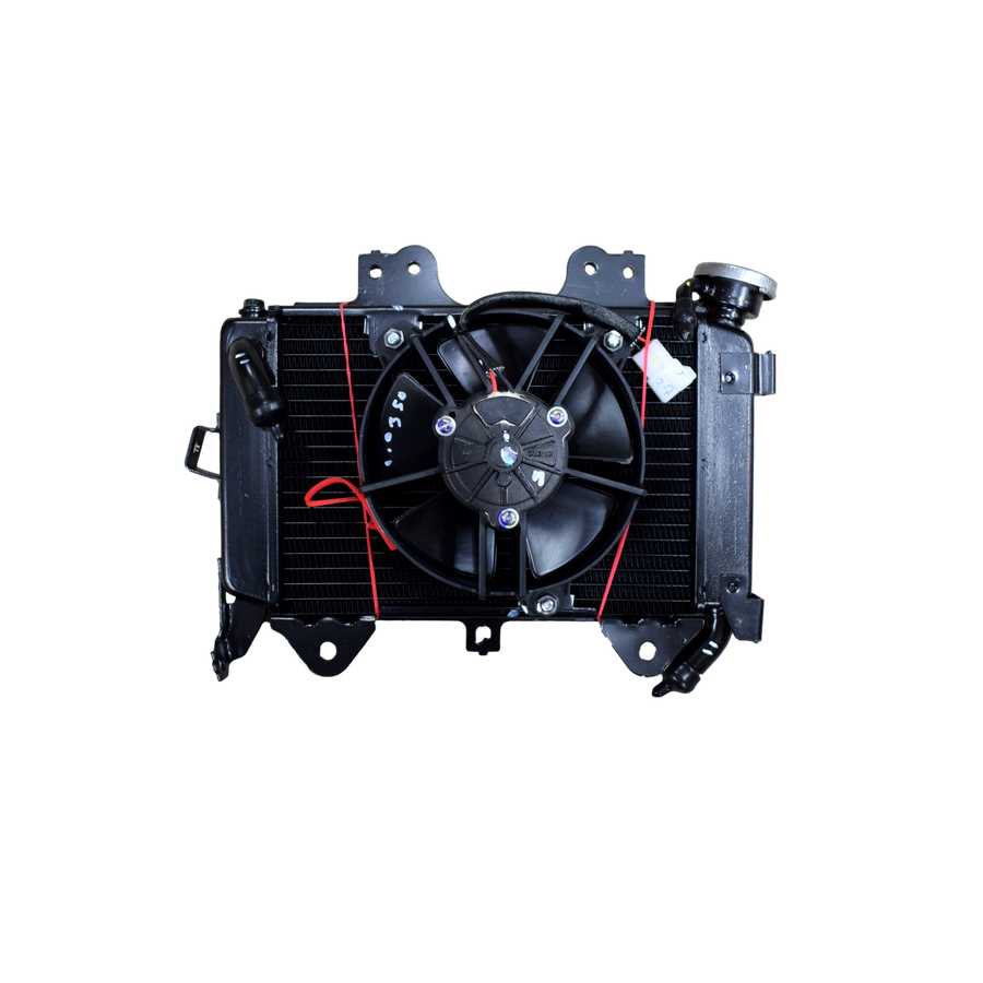 Radiador Pulsar Ns 200 Bajaj Original