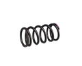 Resorte De Clutch Pulsar 200/Bajaj 220 Original