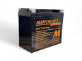 Bateria Ytx20L-Bs Grizzly 700