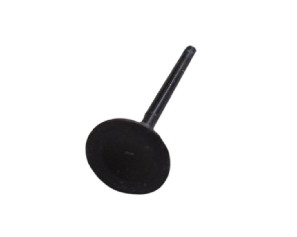 Valvula De Admision Rtr 160/Tvs 180 Original