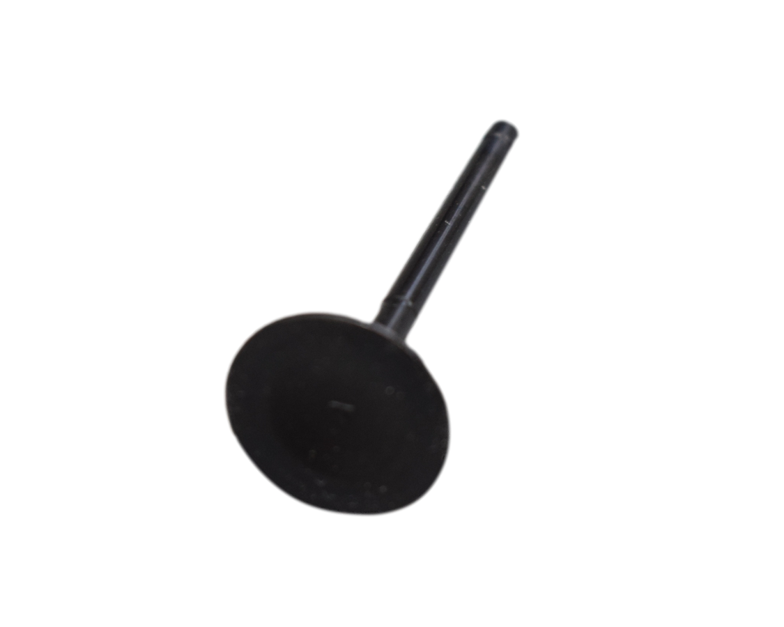Valvula De Admision Rtr 160/Tvs 180 Original