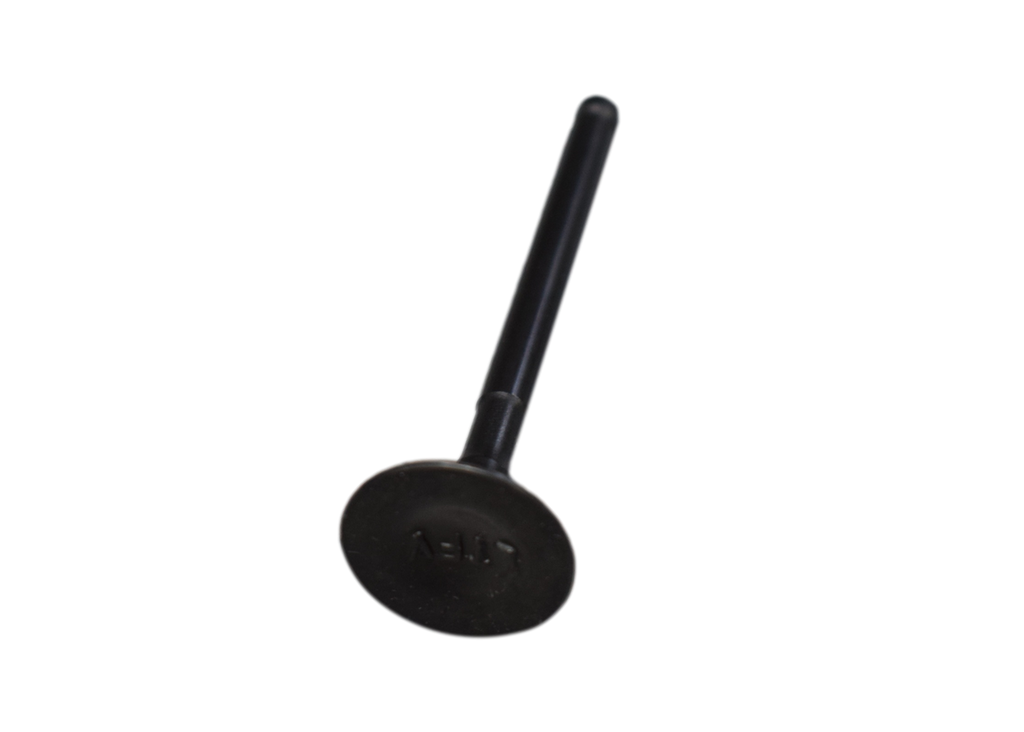 Valvula De Escape Rtr 160/Tvs 180 Original