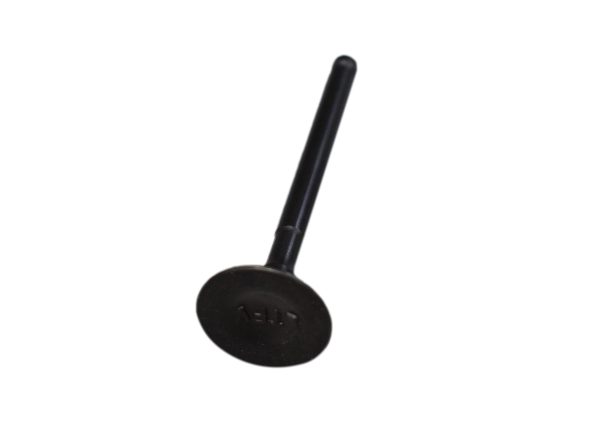 Valvula De Escape Rtr 160/Tvs 180 Original