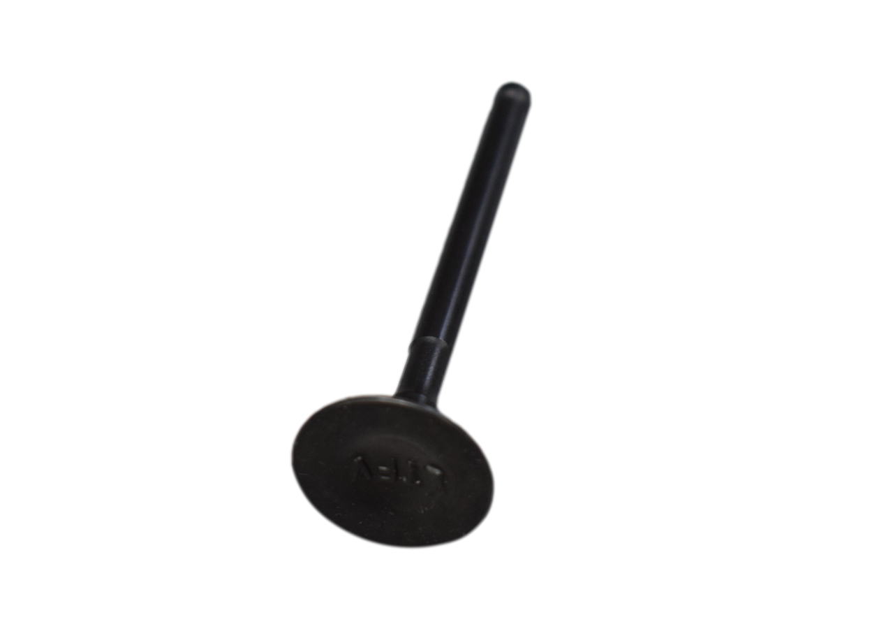 Valvula De Escape Rtr 160/Tvs 180 Original