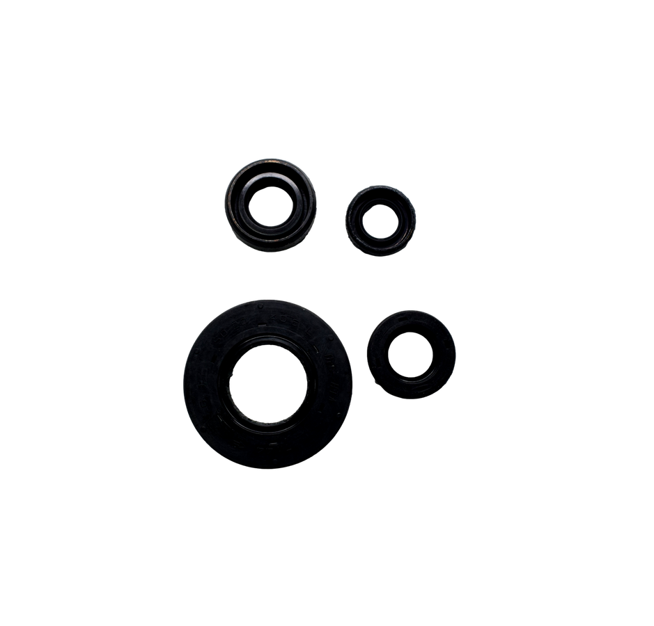 Kit Retenedor De Motor Rtr Tvs 180 Original