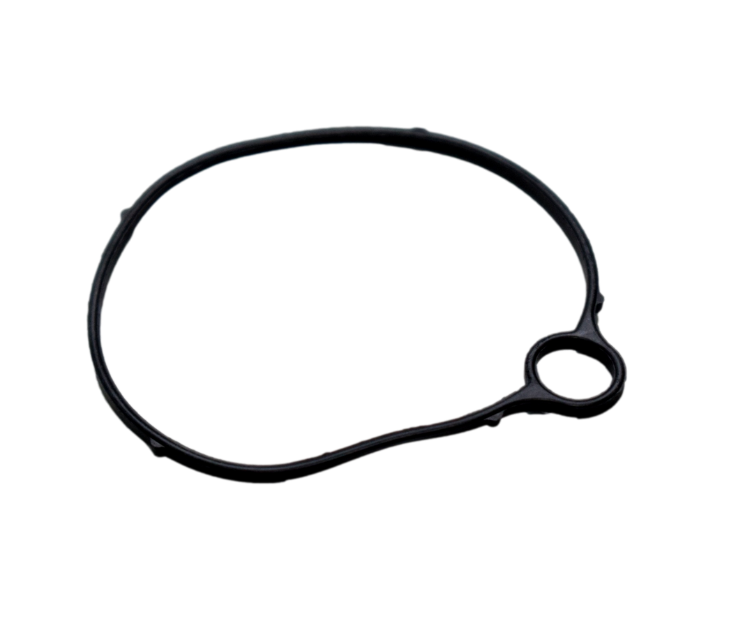 Empaque Tapa De Carburador Sport Tvs 100 Original