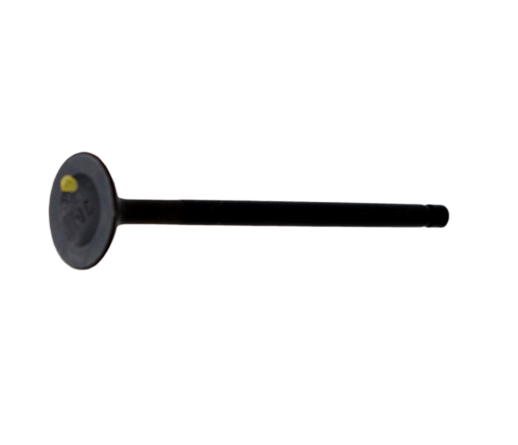 Valvula De Escape Rtr 160/200 (Valvulas 4) Tvs Original