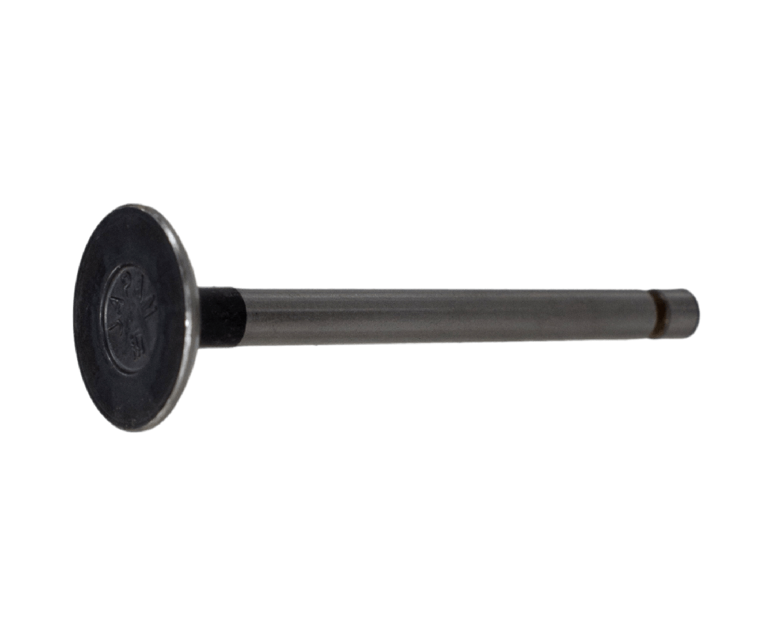 Valvula De Escape Tvs Max 100