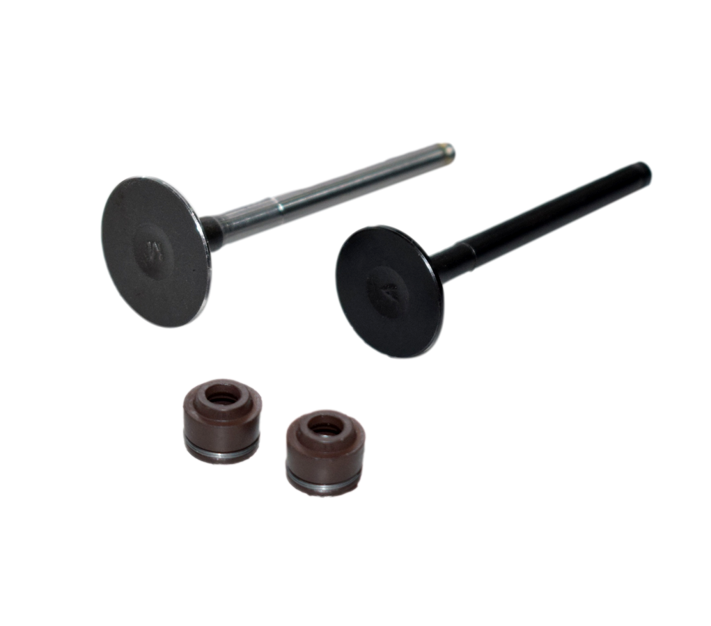 Kit De Válvulas Eco Deluxe 100 - Splendor Hero Original
