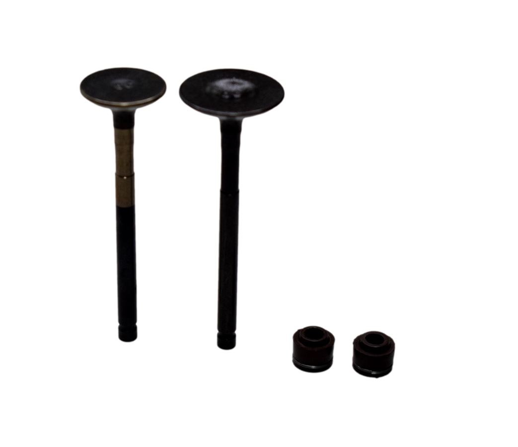 Kit De Válvulas Dash Hero Original