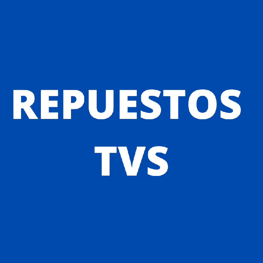 Kit Piston Sport Tvs 100 Original (0.25)