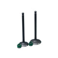 KIT VALVULAS ADM Y ESC AK200SM CON SELLOS
