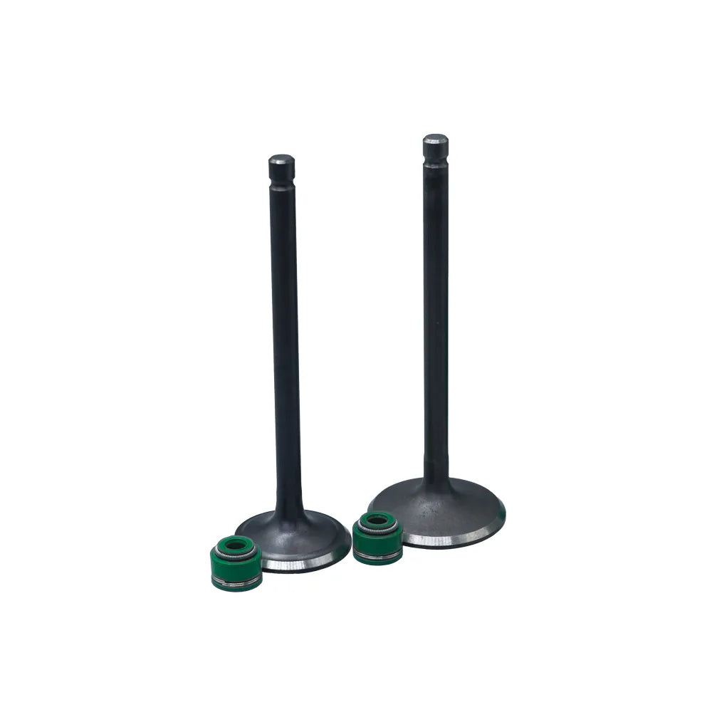 KIT VALVULAS ADM Y ESC AK200SM CON SELLOS