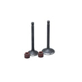 KIT VALVULAS ADM Y ESC YBR125/ LIBERO125/ XTZ125 CON SELLOS