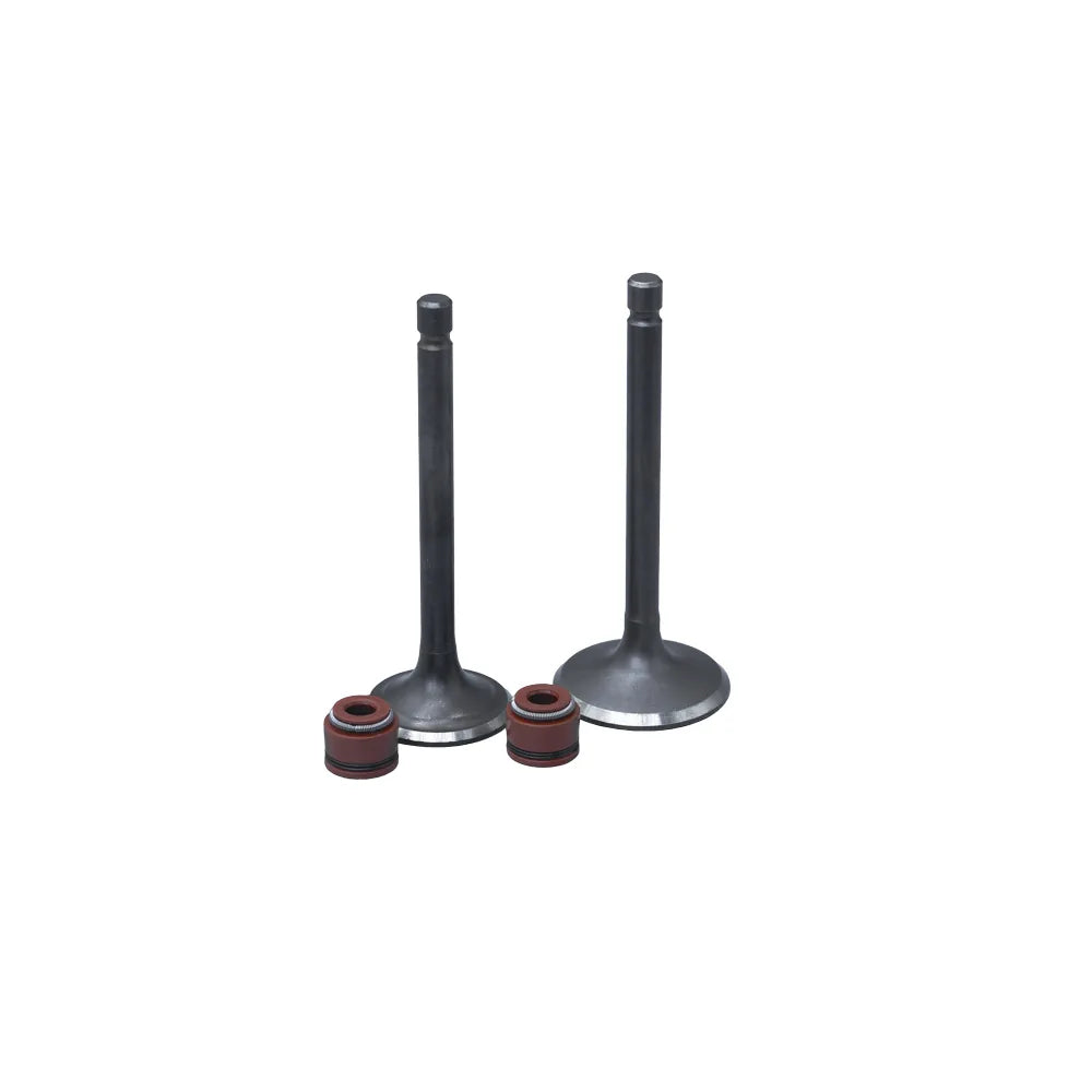 KIT VALVULAS ADM Y ESC YBR125/ LIBERO125/ XTZ125 CON SELLOS