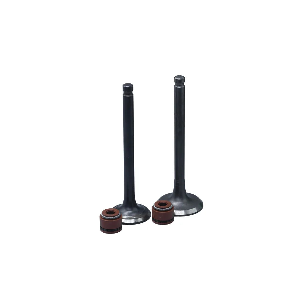 KIT VALVULAS ADM Y ESC YD110/ LIBERO110 CON SELLOS
