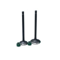 KIT VALVULAS ADM Y ESC AK150 EVO /AK150TT CON SELLOS