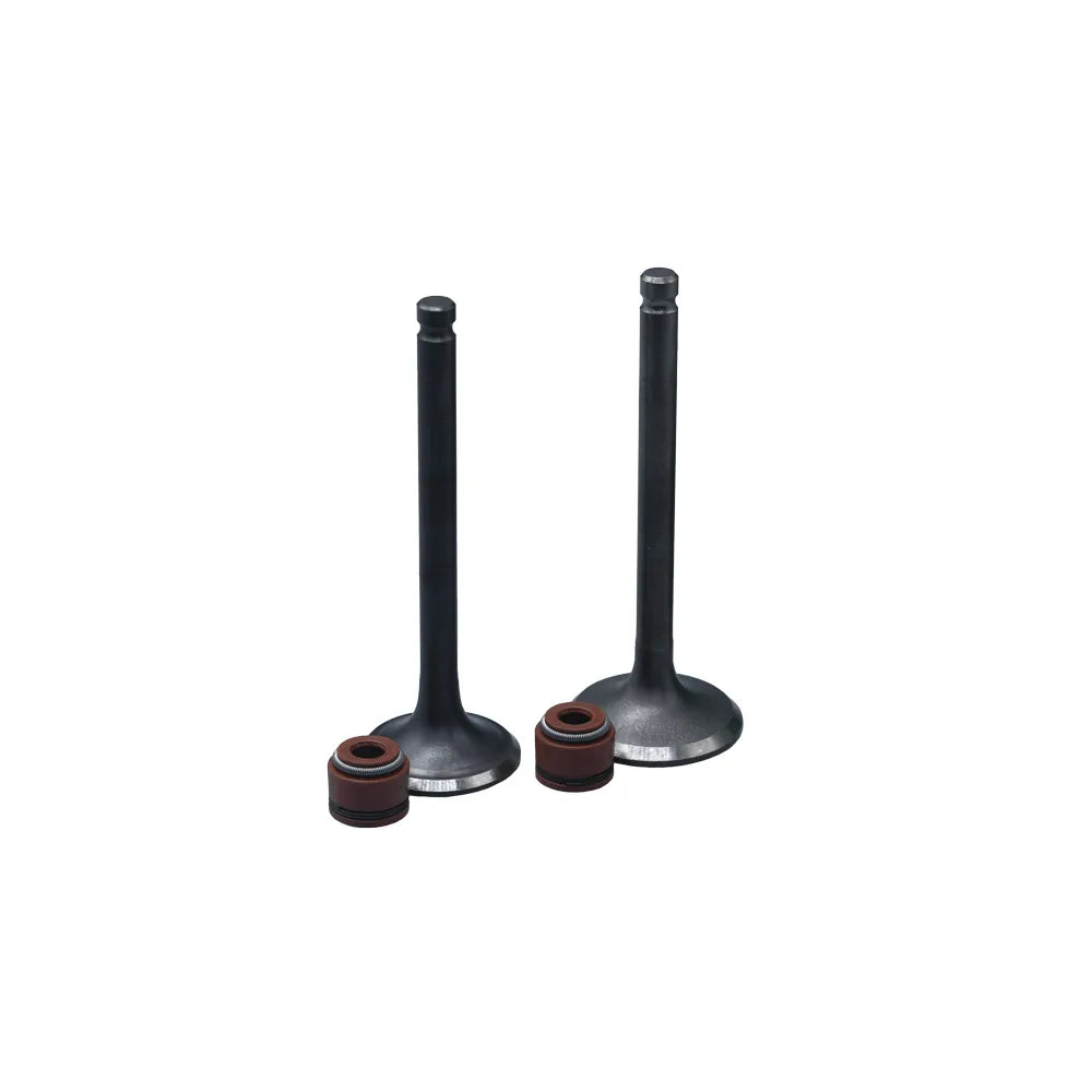 KIT VALVULAS ADM Y ESC SCOOTER GY6 CON SELLOS