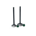 KIT VALVULAS ADM Y ESC AK125SL / AK125 EVO/ AK125 TT/ E-STORM CON SELLOS