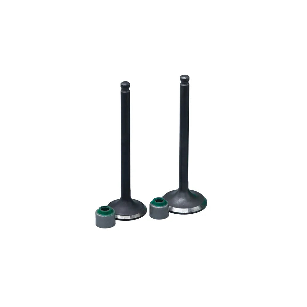 KIT VALVULAS ADM Y ESC CRYPTON110 CON SELLOS