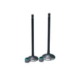 KIT VALVULAS ADM Y ESC DISCOVER135  CON SELLOS