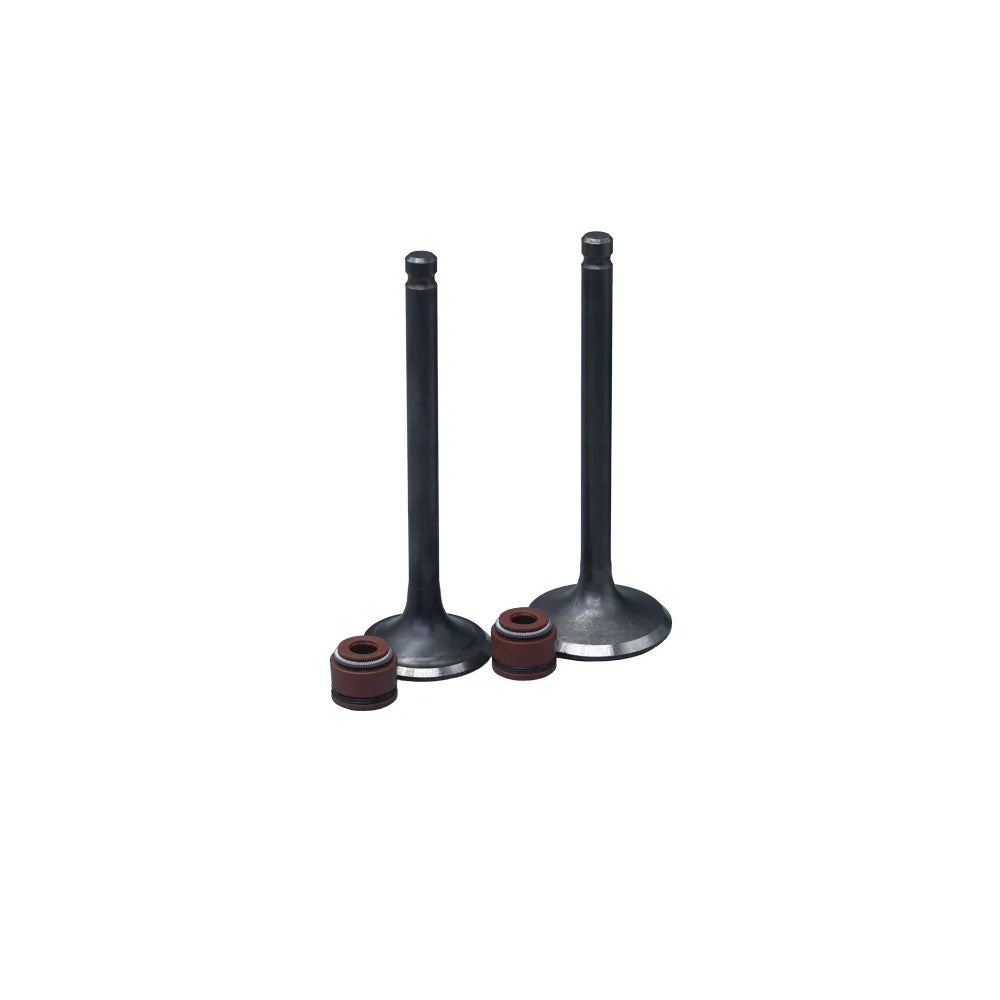 KIT VALVULAS ADM Y ESC FD125 BEST CON SELLOS