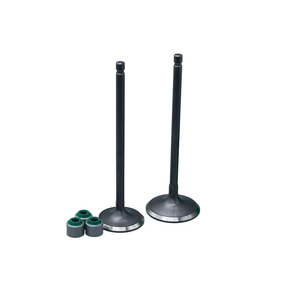 KIT VALVULAS ADM Y ESC PULSAR II CON SELLOS