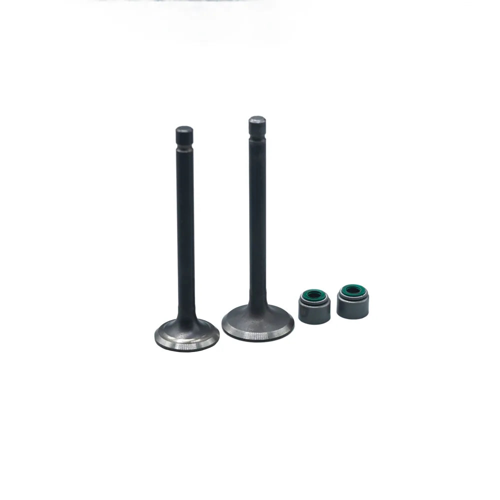 KIT VALVULAS ADM Y ESC BOXER CT100 CON SELLOS