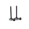 KIT VALVULAS ADM Y ESC ECO100/ ECO DELUXE CON SELLOS