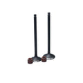 KIT VALVULAS ADM Y ESC GN125H CON SELLOS